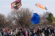 flying kites in dc during the cherry blossom festival