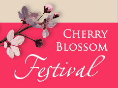 Washington DC Hotels Cherry Blossom Festival