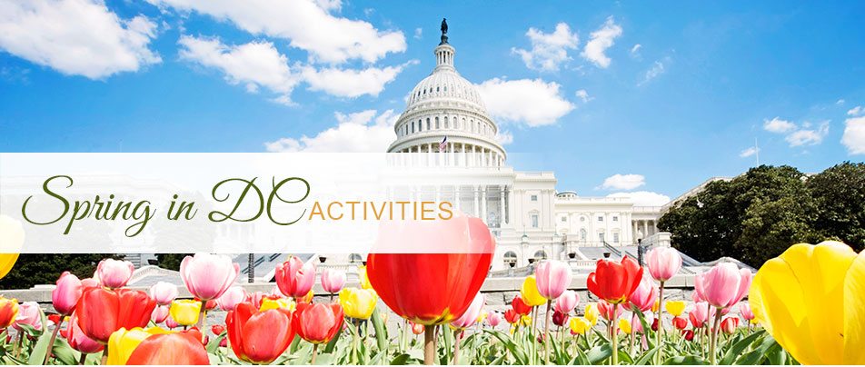 Washington DC Spring Things to Do -Your DC Hotels