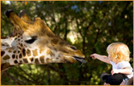 Arlington Family Fun Package